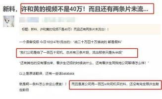 没素质视频爆料违法吗,没素质视频引发争议，违法与否引关注  第3张